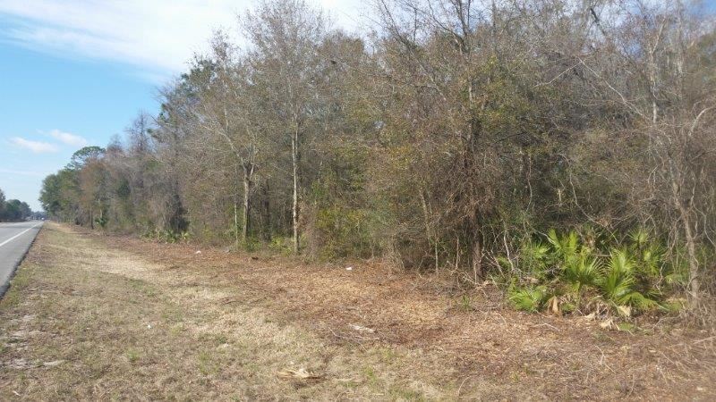 0 Hwy 98 Perry Perry, FL 32347 - Photo 3 of 6