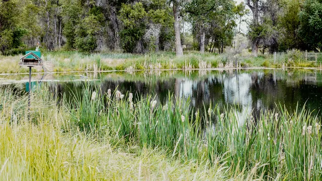 $1,600,000 | Dundee Cove, Sheridan, WY 82801