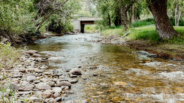 $1,600,000 | Dundee Cove, Sheridan, WY 82801