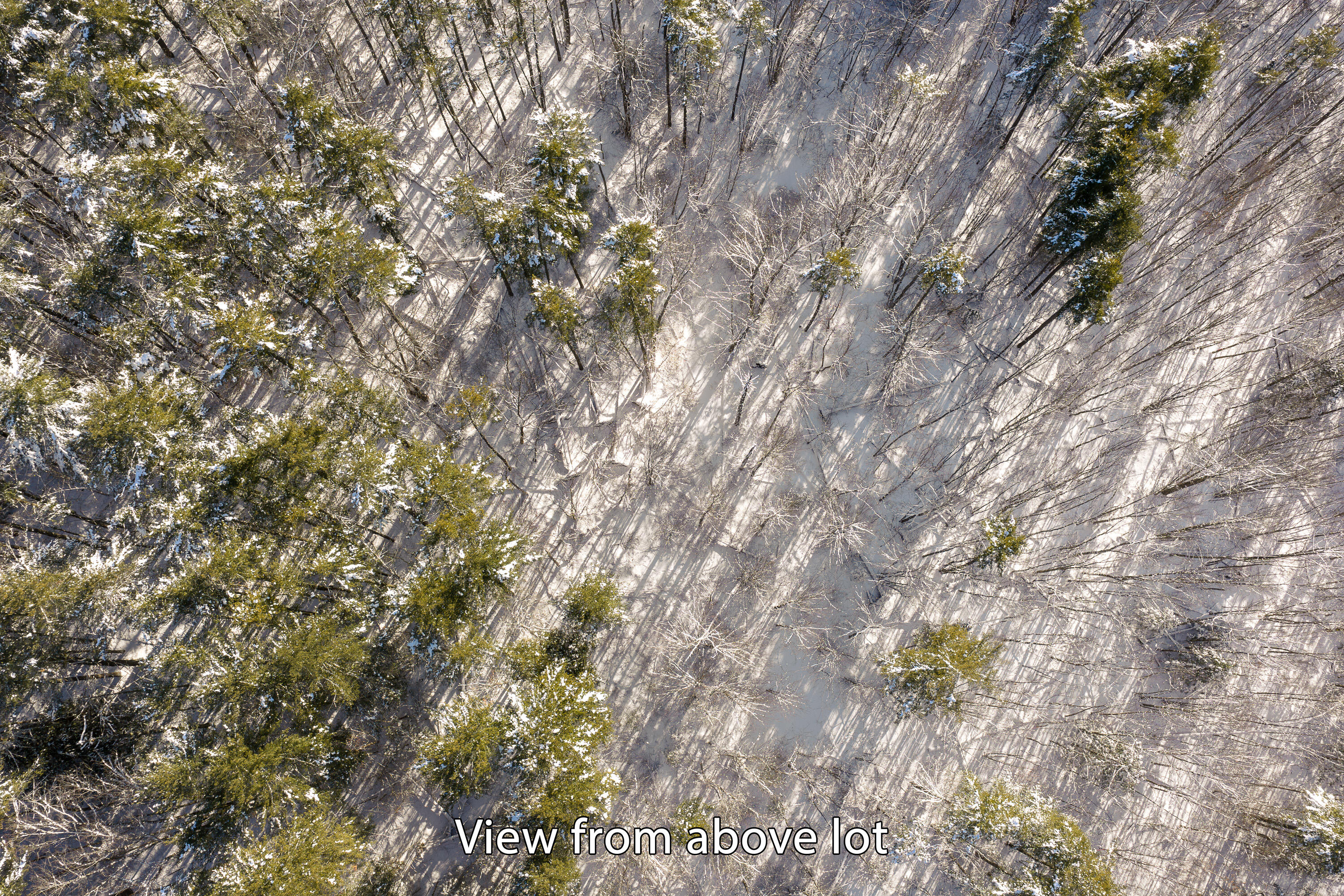 0 Beech Ridge Road Scarborough, ME 04074 - Photo 12 of 14 Beach Ridge Road Land-4