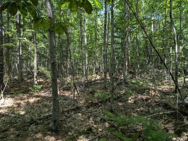 $230,000 | 0 Beech Ridge Road, Scarborough, ME 04074