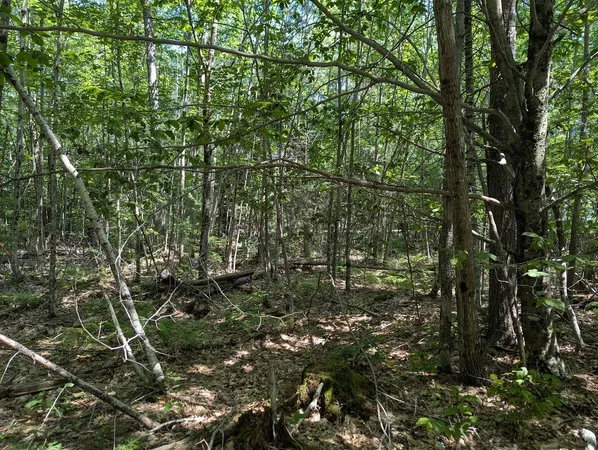 $220,000 | 0 Beech Ridge Road, Scarborough, ME 04074