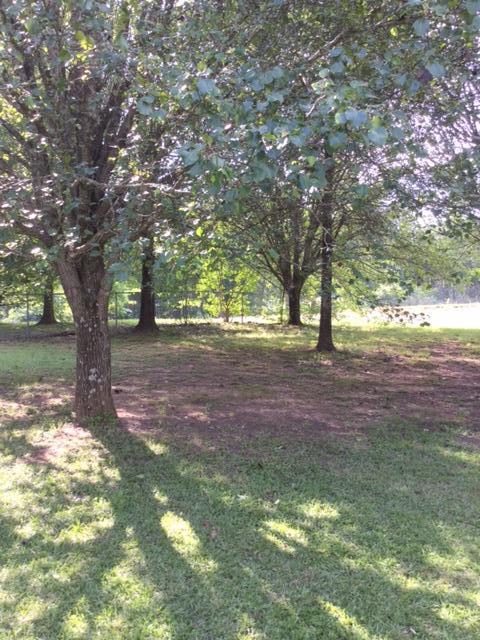 87 Hankins Road Rock Spring, GA 30739 - Photo 23 of 25 Hankins24
