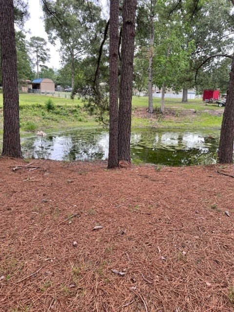 0 Pond View Road Manning, SC 29102 - Photo 2 of 2