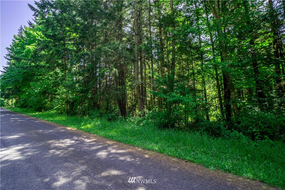 2 Durr Road Camano Island, WA 98282 - Photo 2 of 12 Gallery Image 2