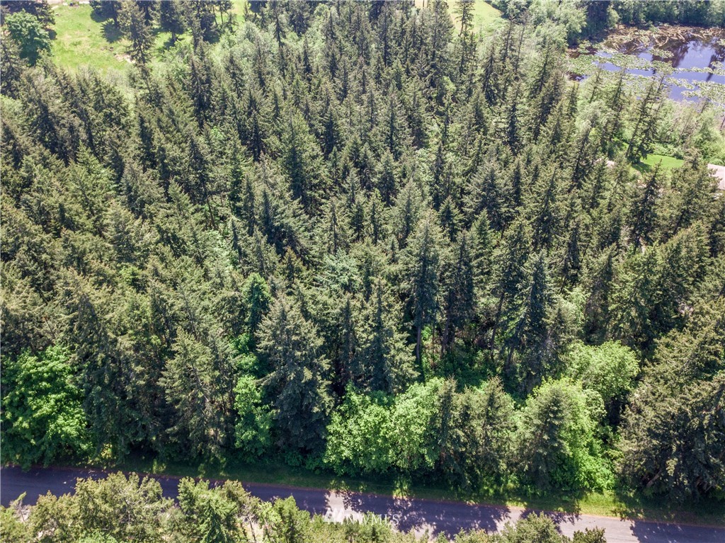 2 Durr Road Camano Island, WA 98282 - Photo 11 of 12 Gallery Image 11