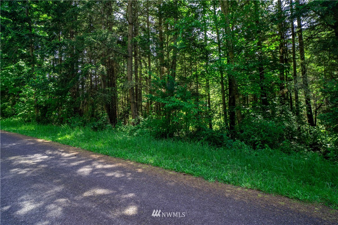 2 Durr Road Camano Island, WA 98282 - Photo 3 of 12 Gallery Image 3
