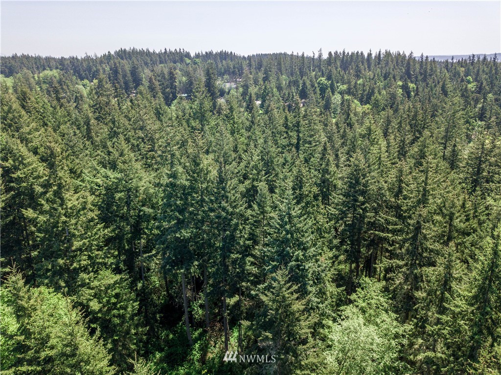 2 Durr Road Camano Island, WA 98282 - Photo 4 of 12 Gallery Image 4