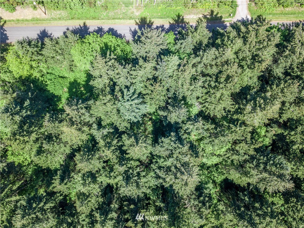 2 Durr Road Camano Island, WA 98282 - Photo 8 of 12 Gallery Image 8