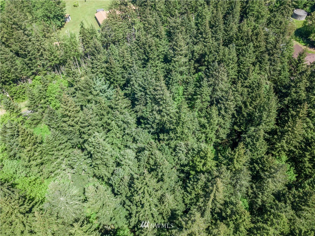 2 Durr Road Camano Island, WA 98282 - Photo 9 of 12 Gallery Image 9