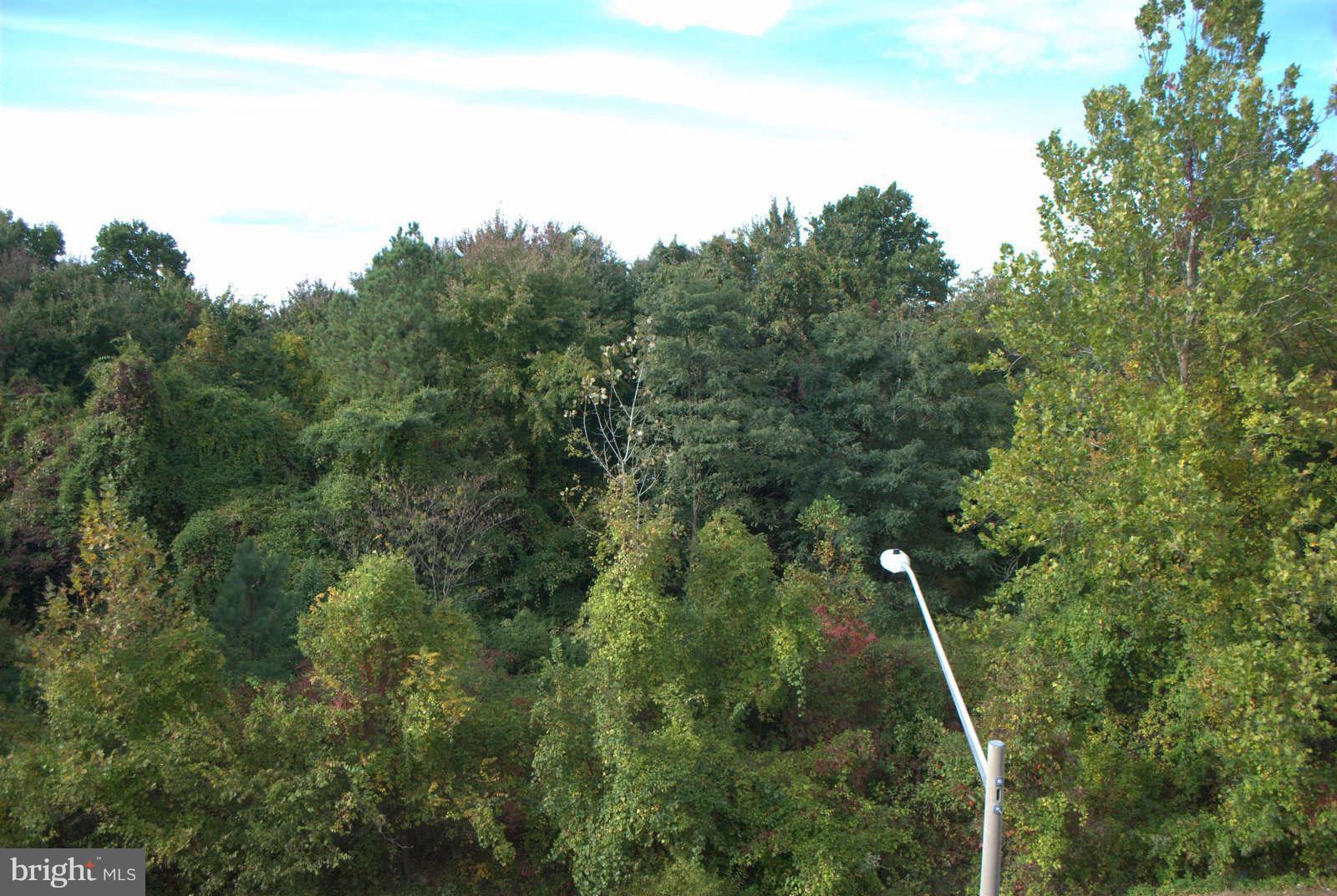 1781 Chain Bridge Road, Unit 401 McLean, VA 22102 - Photo 30 of 30 View