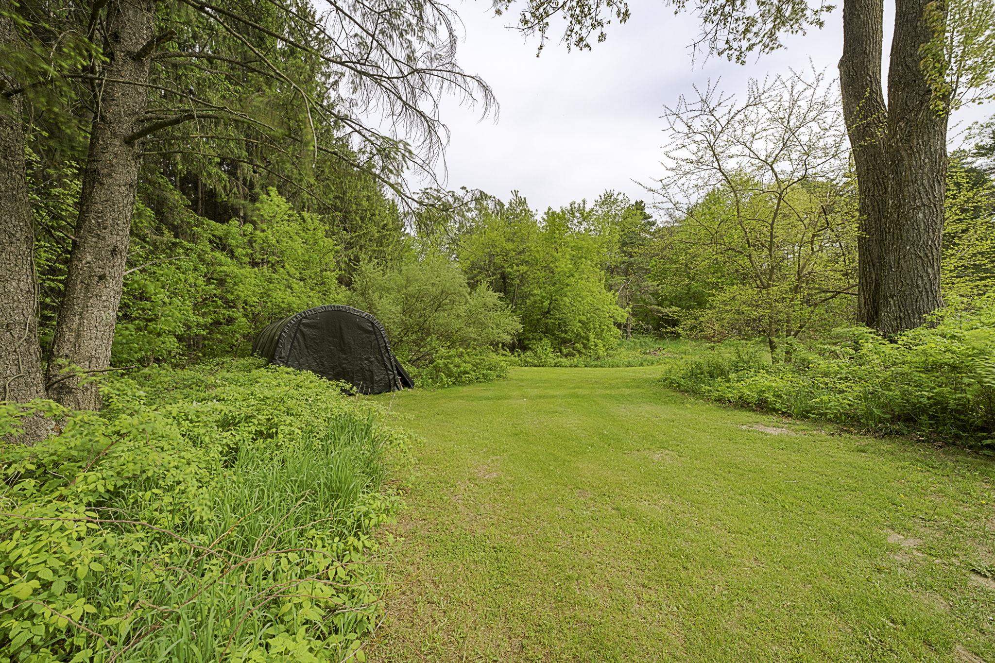 8940 West Cutcheon Road Manton, MI 49663 - Photo 39 of 43