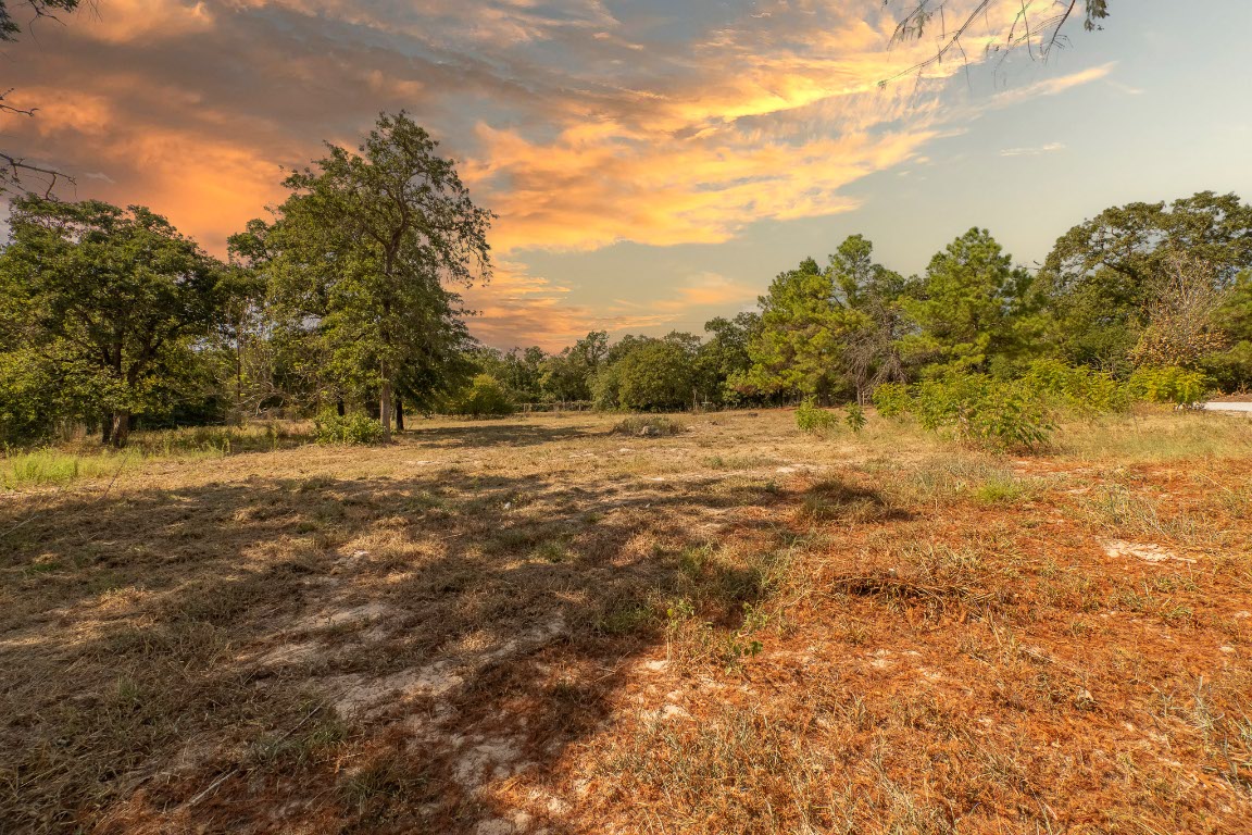 664 Hidden Oaks Drive Elgin, TX 78621 - Photo 19 of 35 a view of field with trees in background