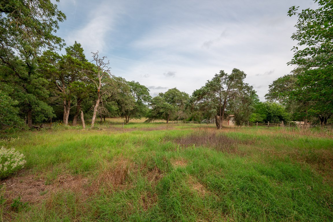 664 Hidden Oaks Drive Elgin, TX 78621 - Photo 26 of 35