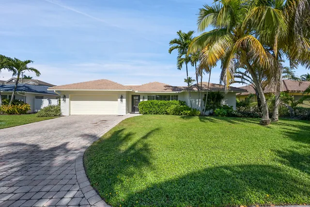 a view of a yard with plants and palm trees