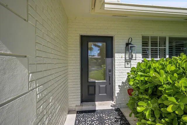 a potted plant sitting in front of a door