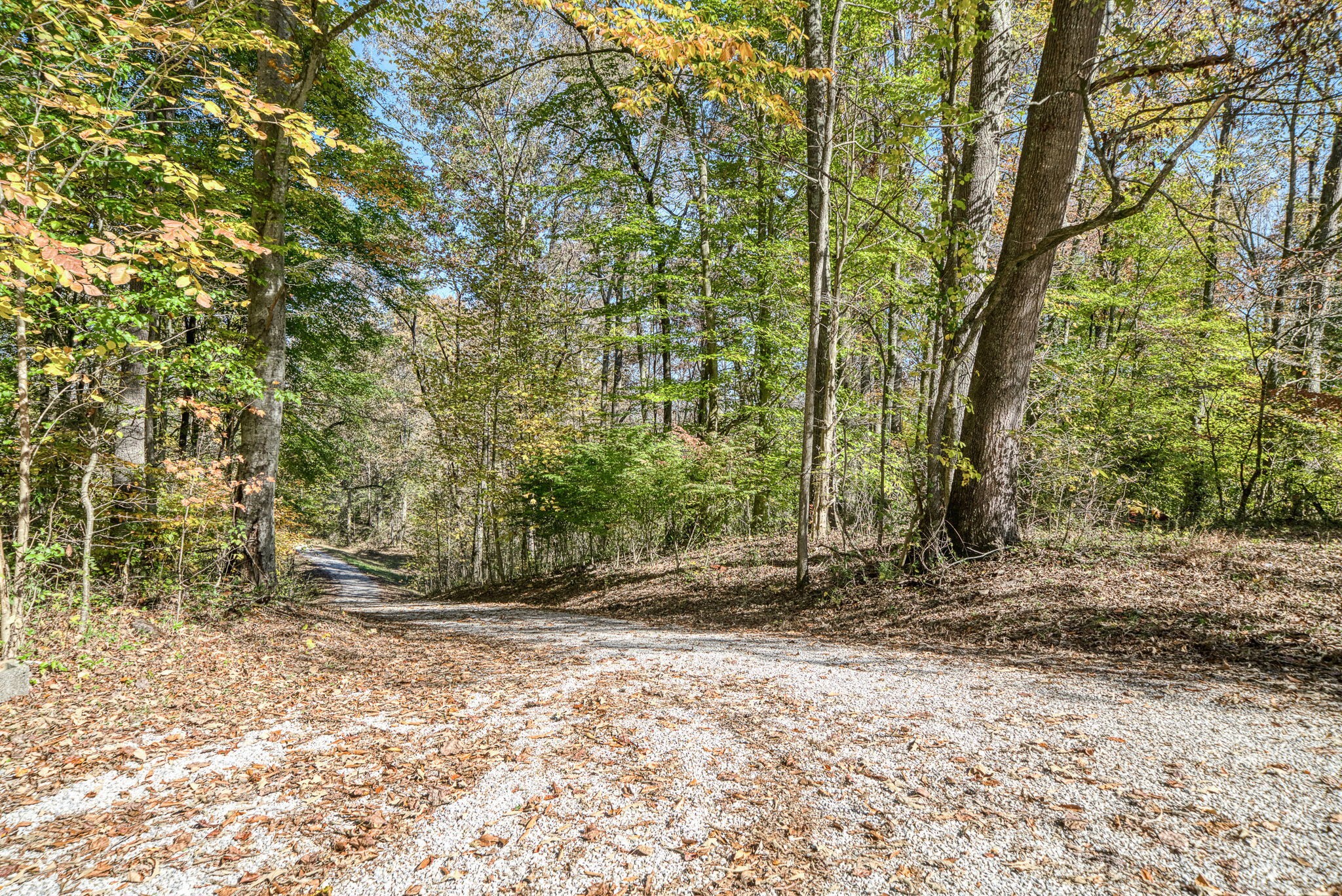 375 Golden Herren Road Sparta, TN 38583 - Photo 11 of 45 a view of outdoor space with deck and tree