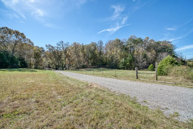 a view of a field with trees in the background
