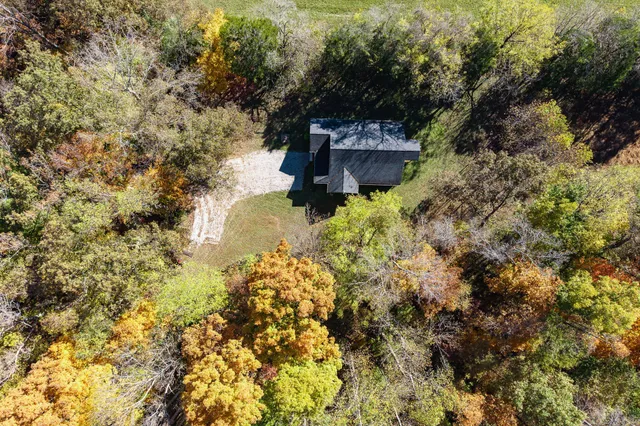 a view of a yard with plants and large trees