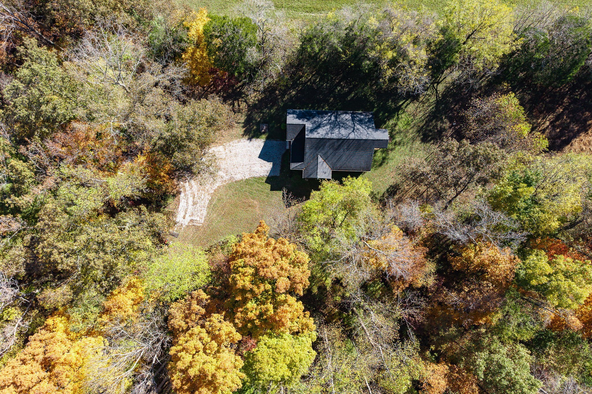 375 Golden Herren Road Sparta, TN 38583 - Photo 13 of 45 a view of a yard with plants and large trees