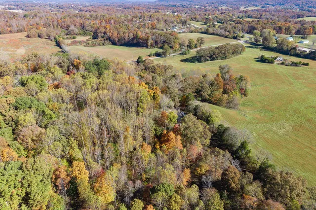 an aerial view of residential houses with outdoor space and trees