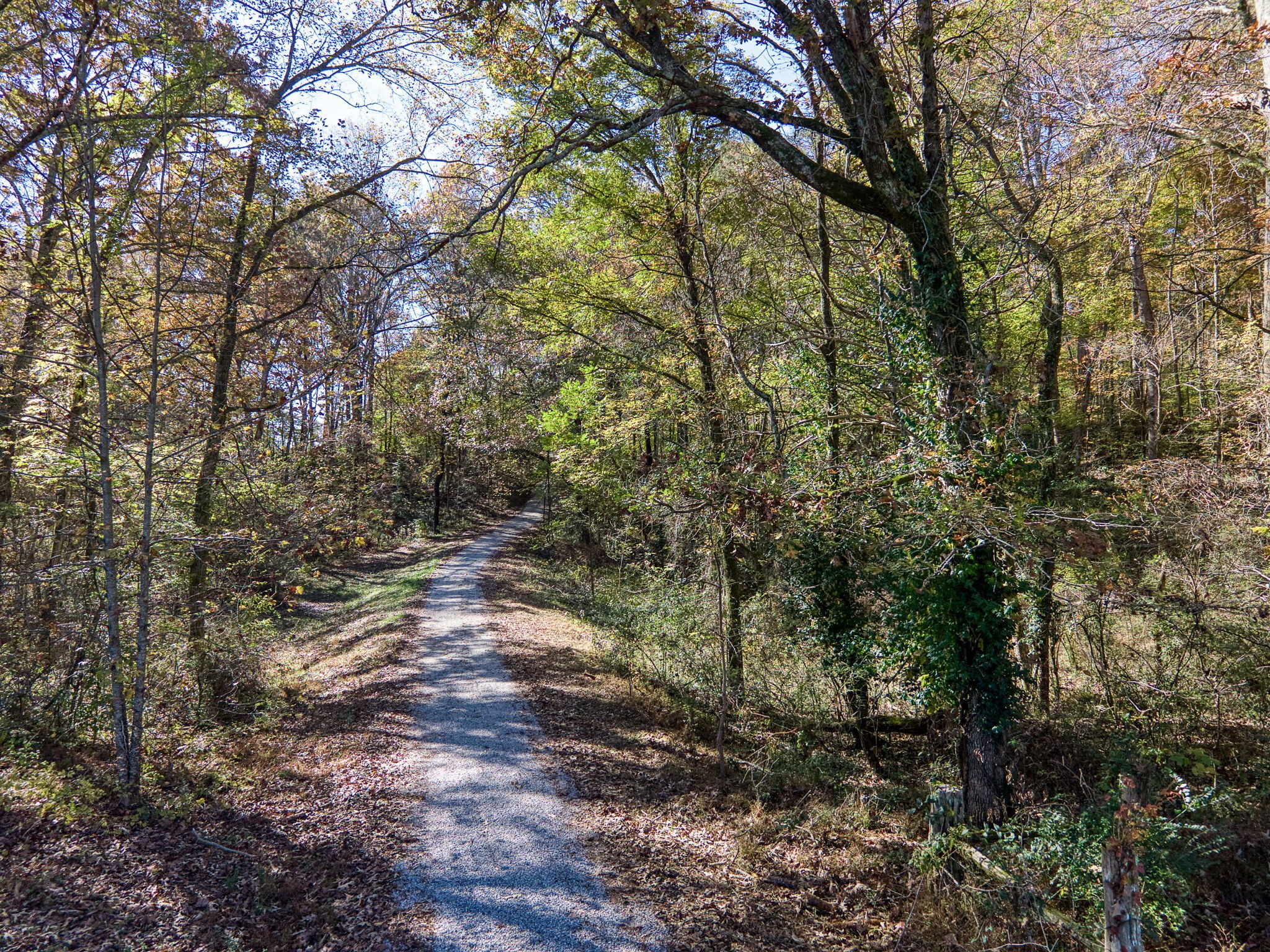 375 Golden Herren Road Sparta, TN 38583 - Photo 21 of 45 a backyard of a house with lots of green space