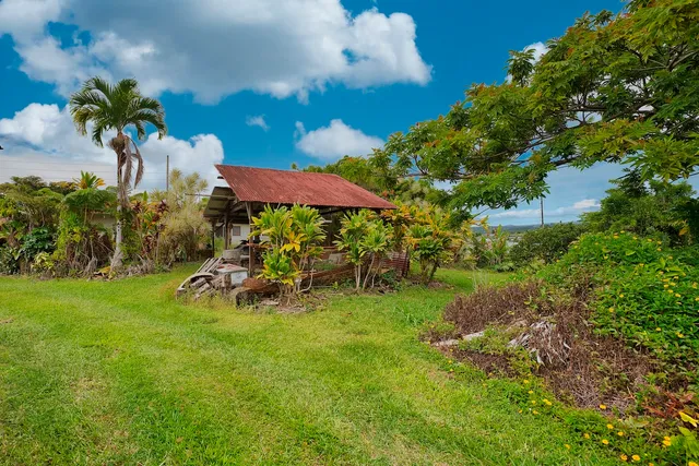 a view of a backyard with plants and a garden