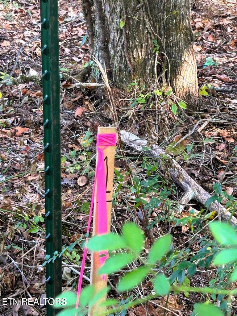 Ten Pleasant Hill Road Ten Mile, TN 37880 - Photo 3 of 9 Tract 1 PH corners marked