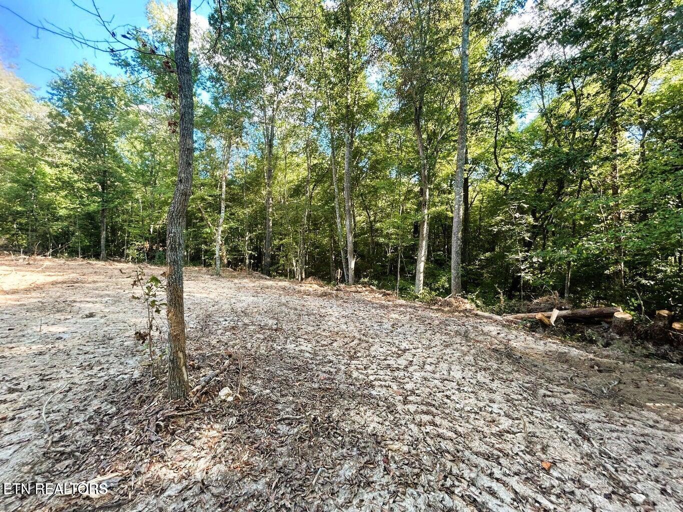 Ten Pleasant Hill Road Ten Mile, TN 37880 - Photo 7 of 9 Tract 1 PH 4