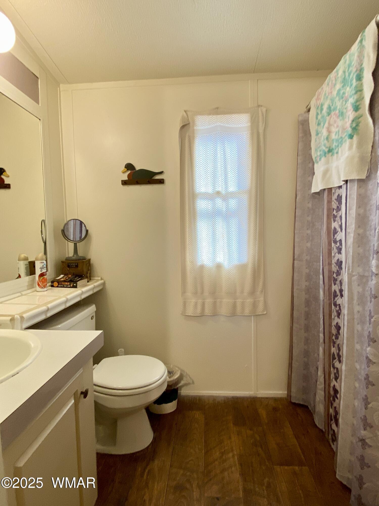 640 South Clark Road Show Low, AZ 85901 - Photo 15 of 18 Bathroom 2
