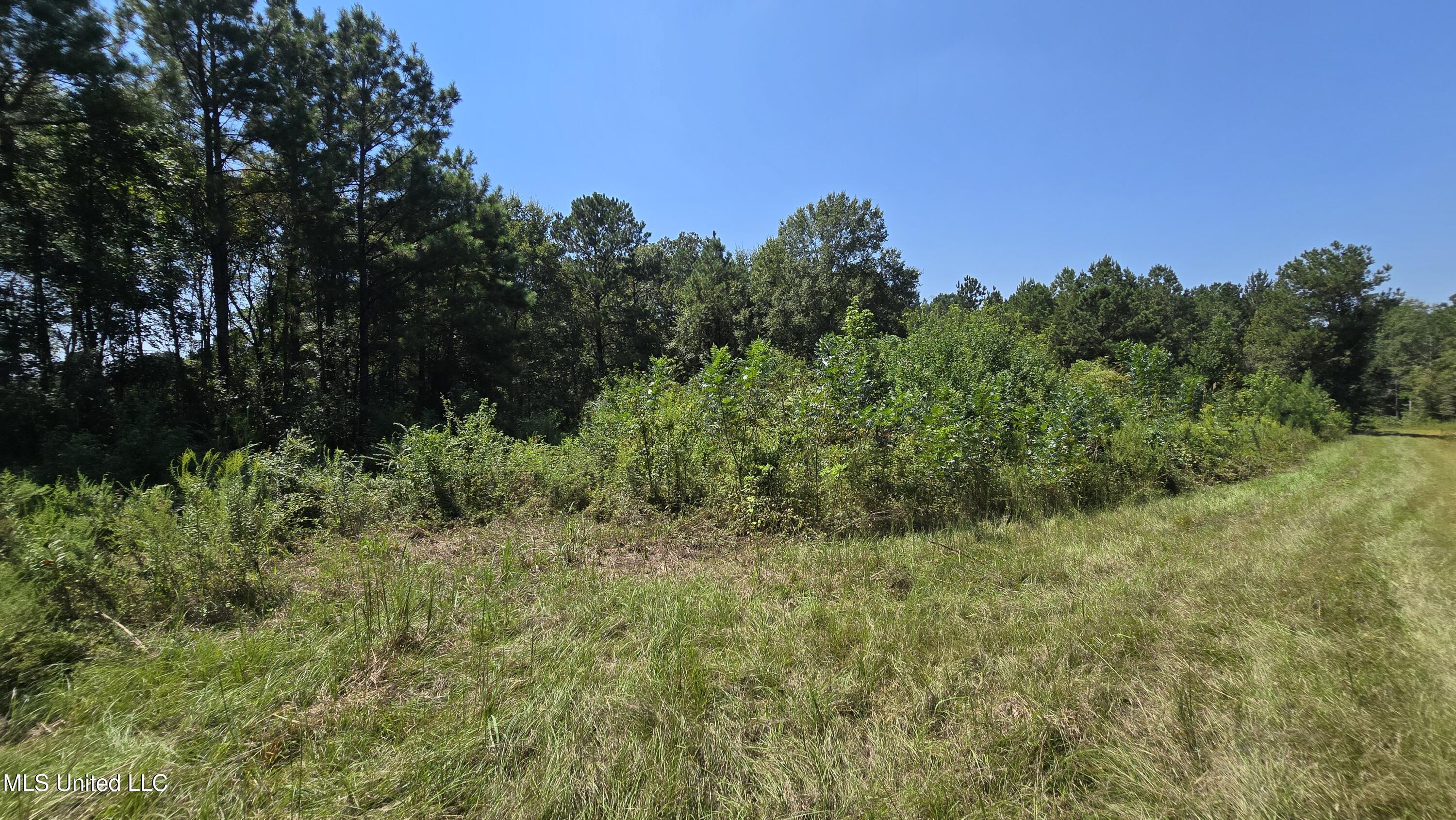 0 Northwest Oil Field Lane Brookhaven, MS 39601 - Photo 11 of 30 20250911_123704