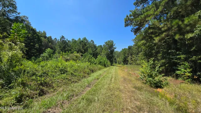 $40,000 | 0 Northwest Oil Field Lane, Brookhaven, MS 39601