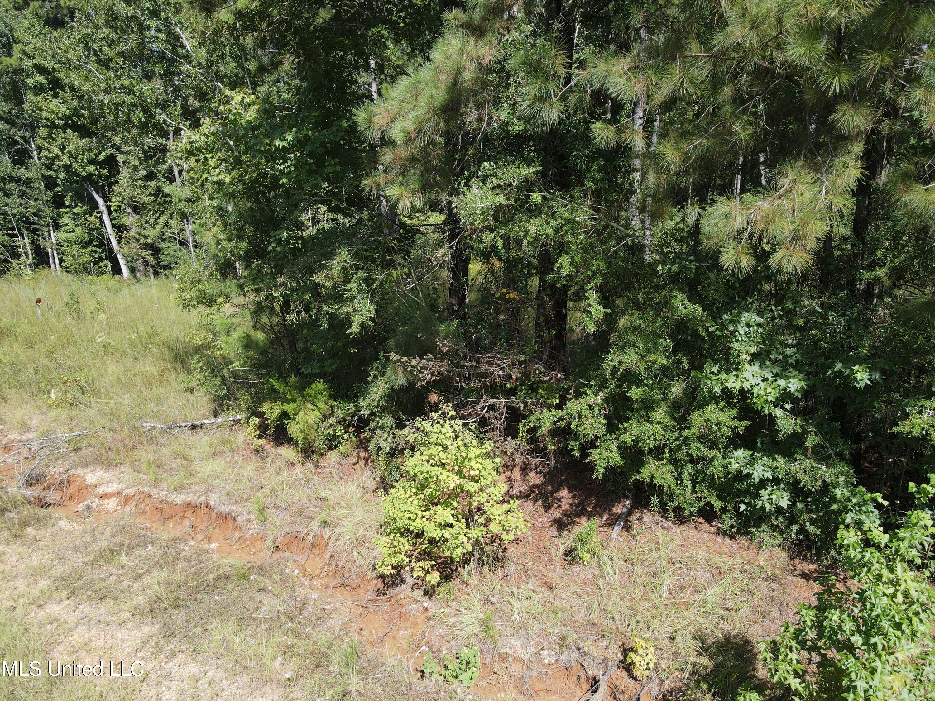 0 Northwest Oil Field Lane Brookhaven, MS 39601 - Photo 15 of 30 DJI_0929