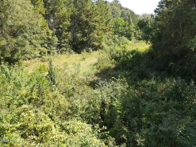 $40,000 | 0 Northwest Oil Field Lane, Brookhaven, MS 39601