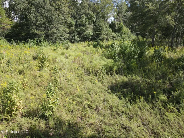 $40,000 | 0 Northwest Oil Field Lane, Brookhaven, MS 39601