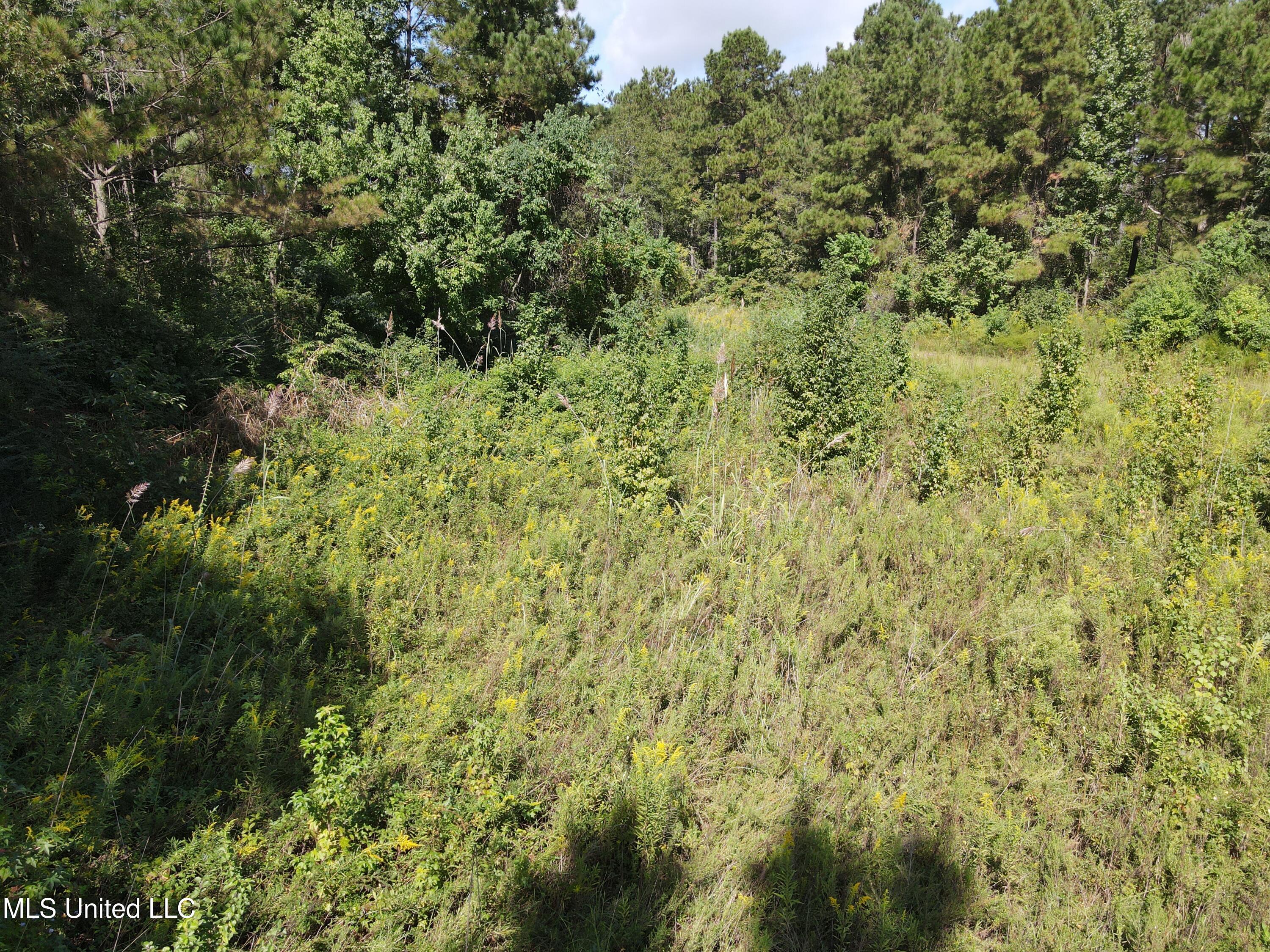 0 Northwest Oil Field Lane Brookhaven, MS 39601 - Photo 20 of 30 DJI_0934