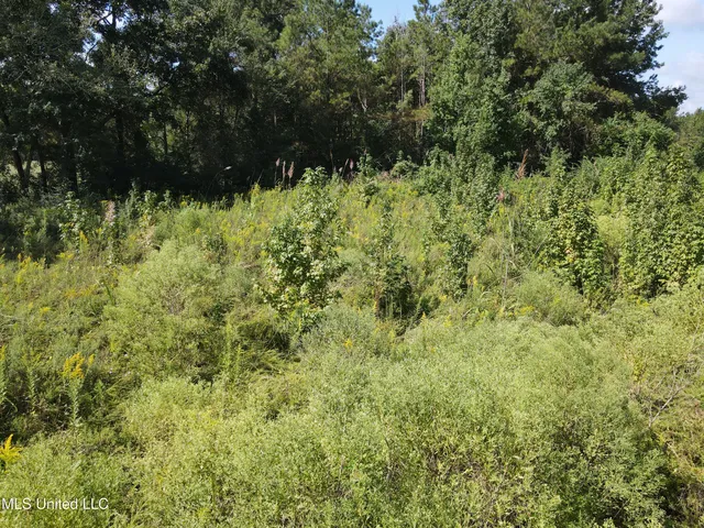$40,000 | 0 Northwest Oil Field Lane, Brookhaven, MS 39601