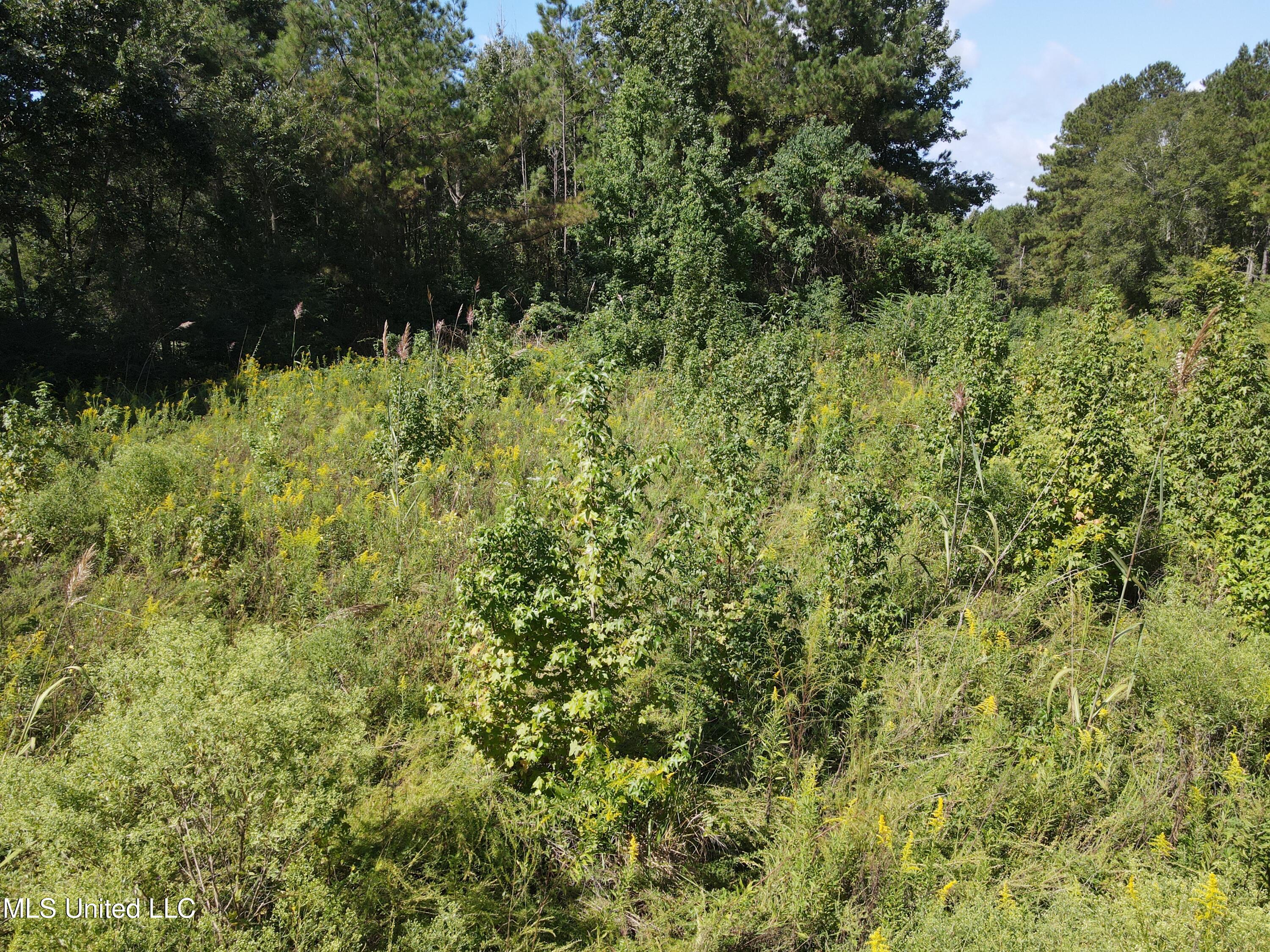 0 Northwest Oil Field Lane Brookhaven, MS 39601 - Photo 23 of 30 DJI_0937
