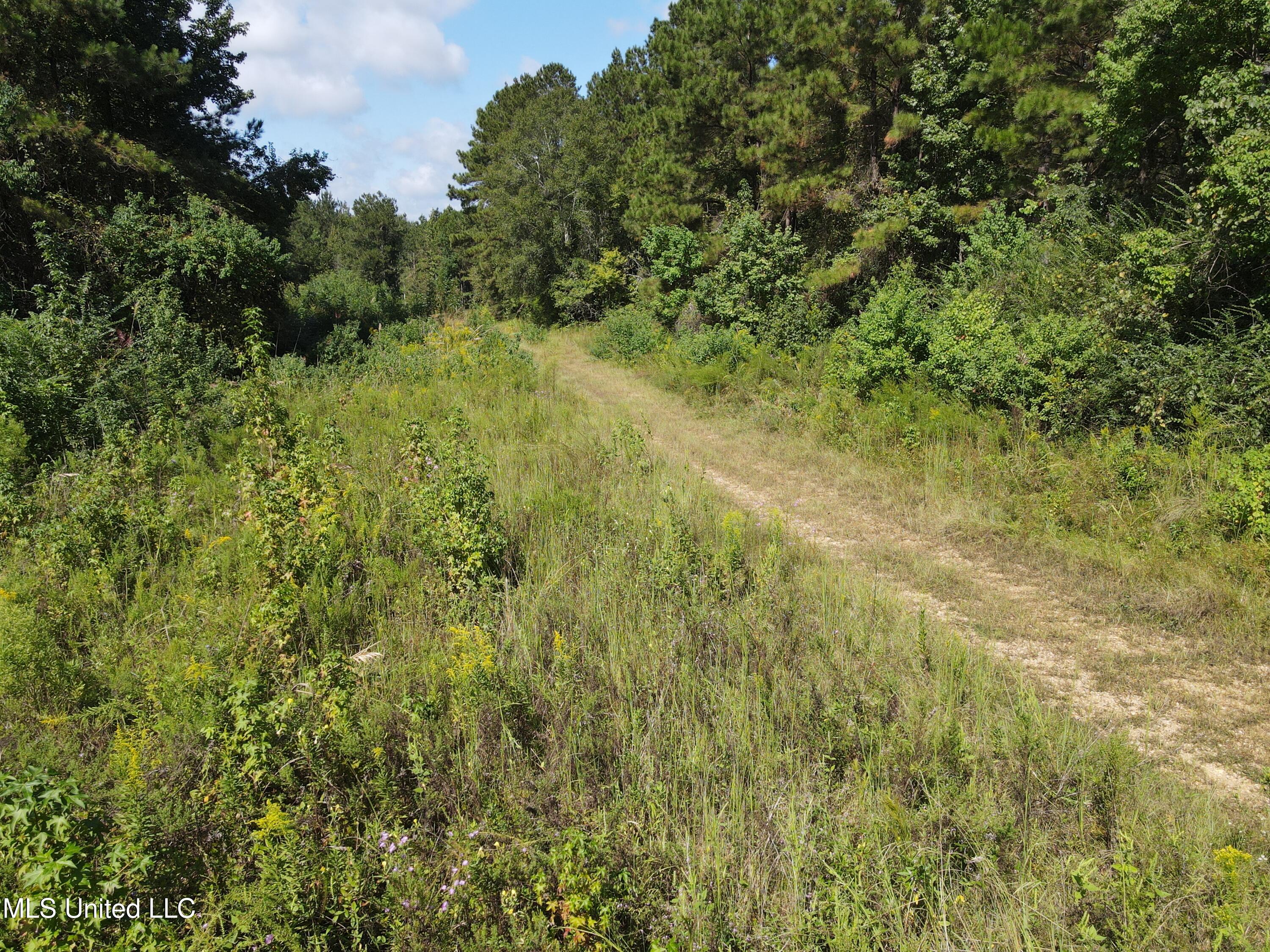 0 Northwest Oil Field Lane Brookhaven, MS 39601 - Photo 24 of 30 DJI_0938