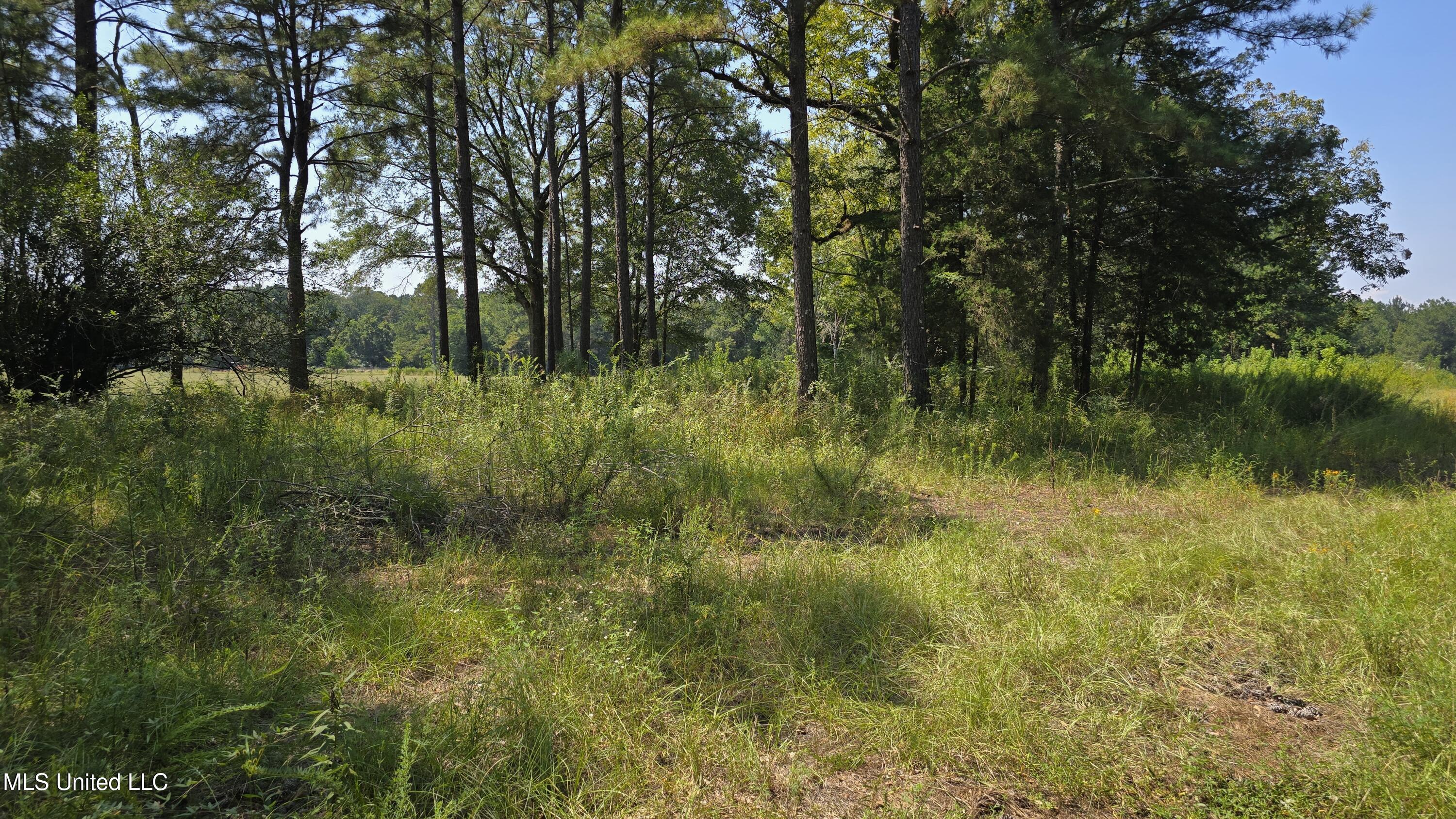 0 Northwest Oil Field Lane Brookhaven, MS 39601 - Photo 3 of 30 20250911_123411