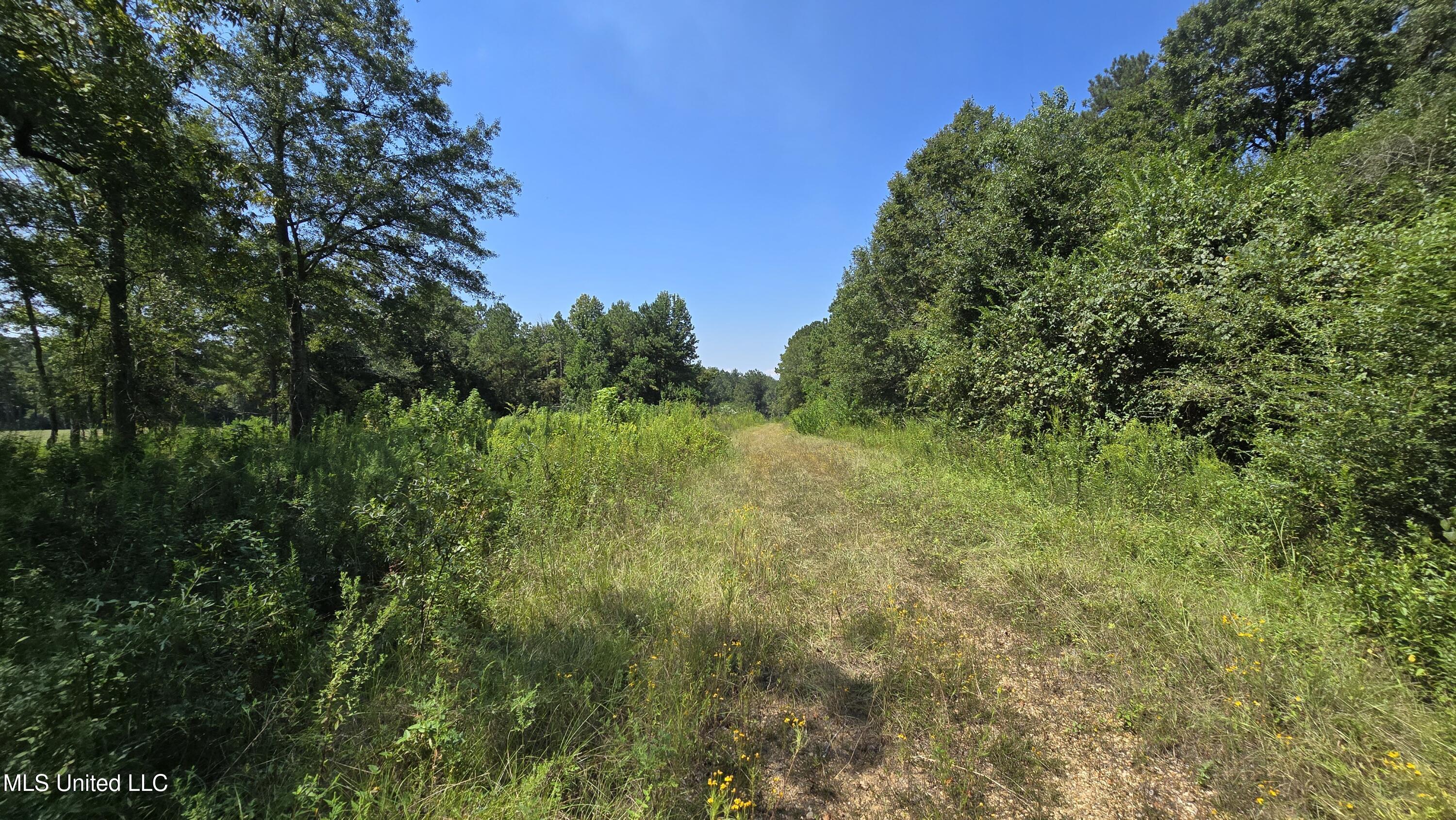 0 Northwest Oil Field Lane Brookhaven, MS 39601 - Photo 7 of 30 20250911_123504