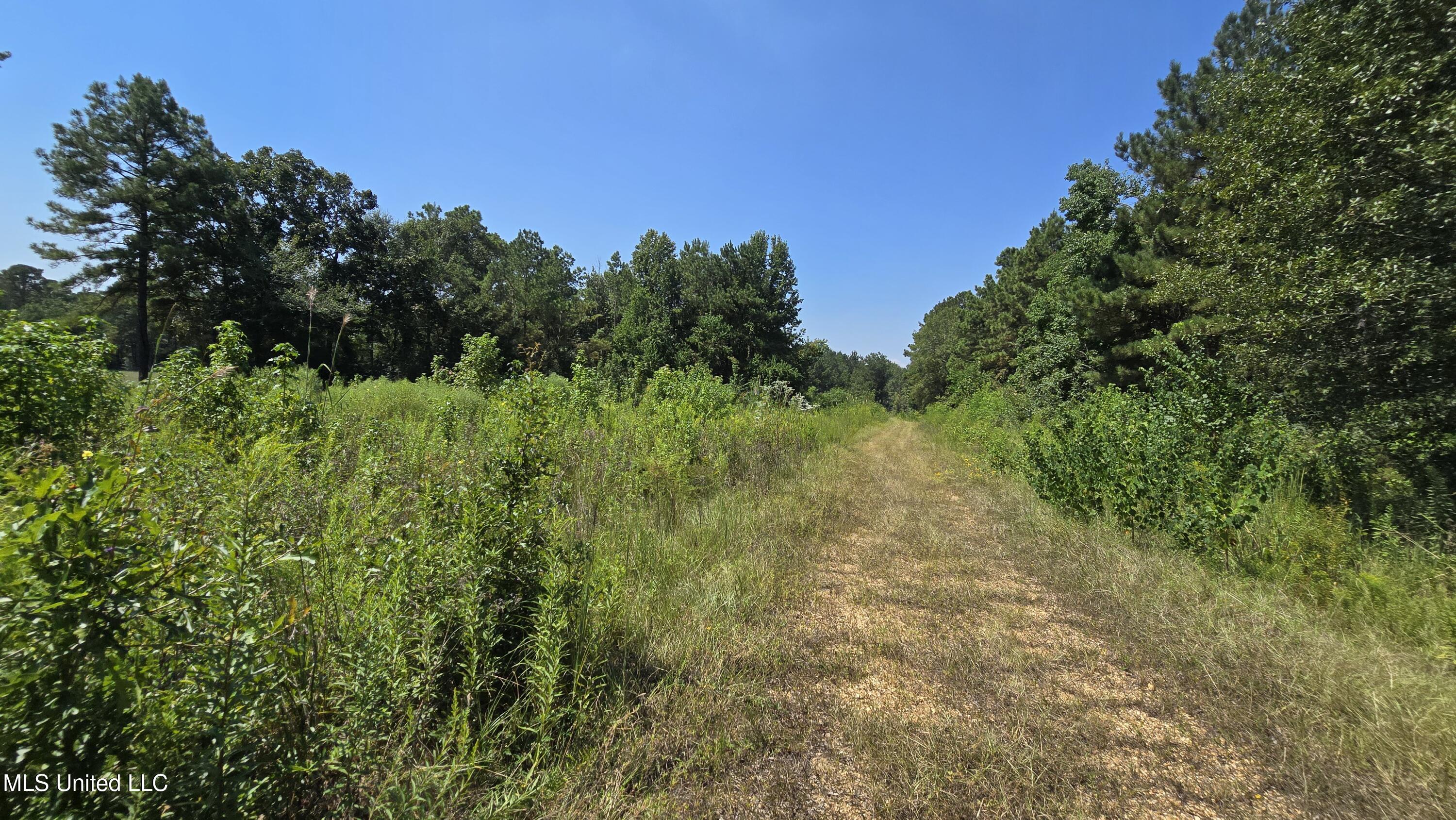 0 Northwest Oil Field Lane Brookhaven, MS 39601 - Photo 8 of 30 20250911_123530