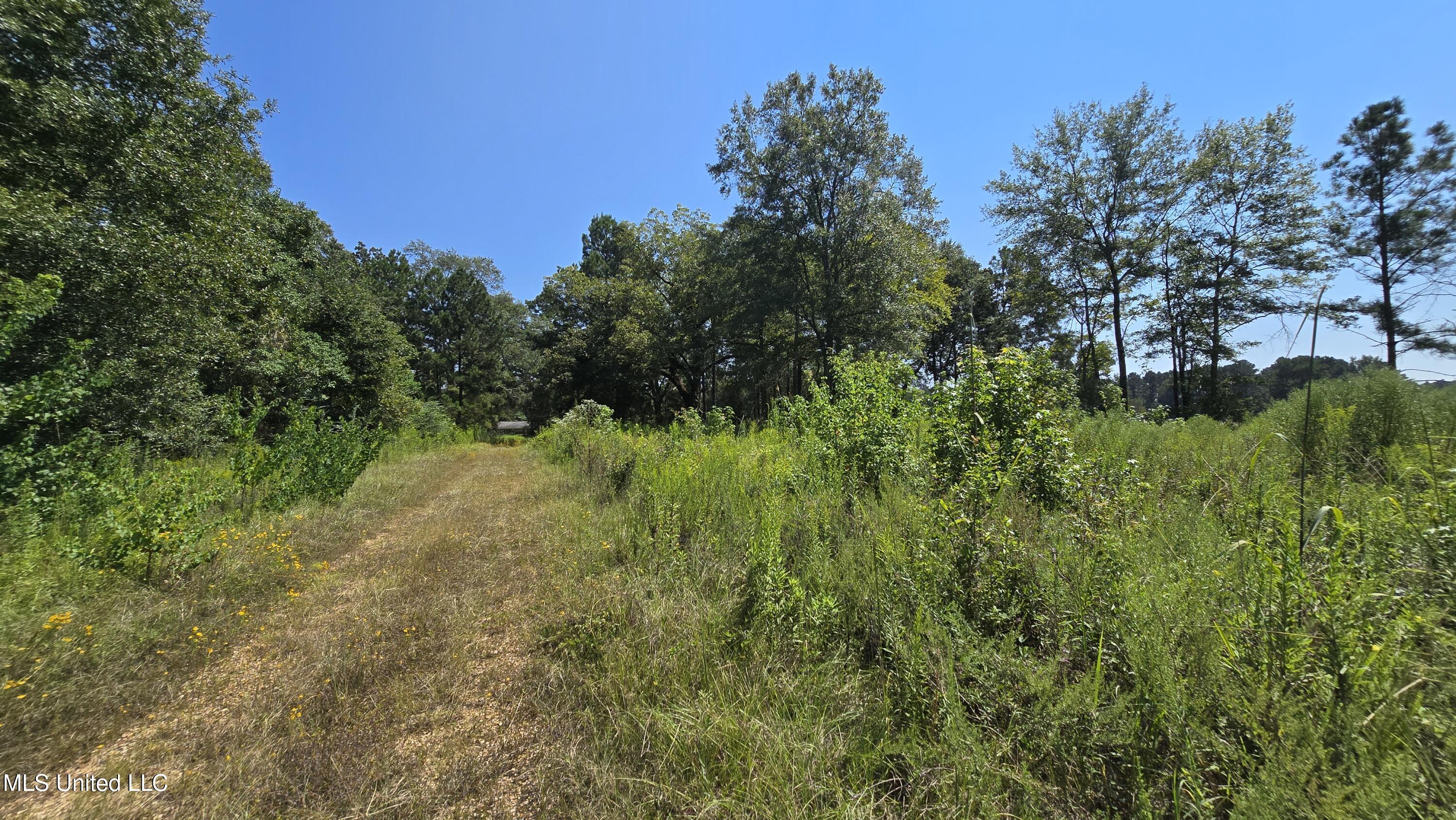 0 Northwest Oil Field Lane Brookhaven, MS 39601 - Photo 9 of 30 20250911_123554