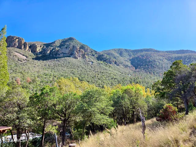 $750,000 | 31 East Ramsey Canyon Road, Hereford, AZ 85615