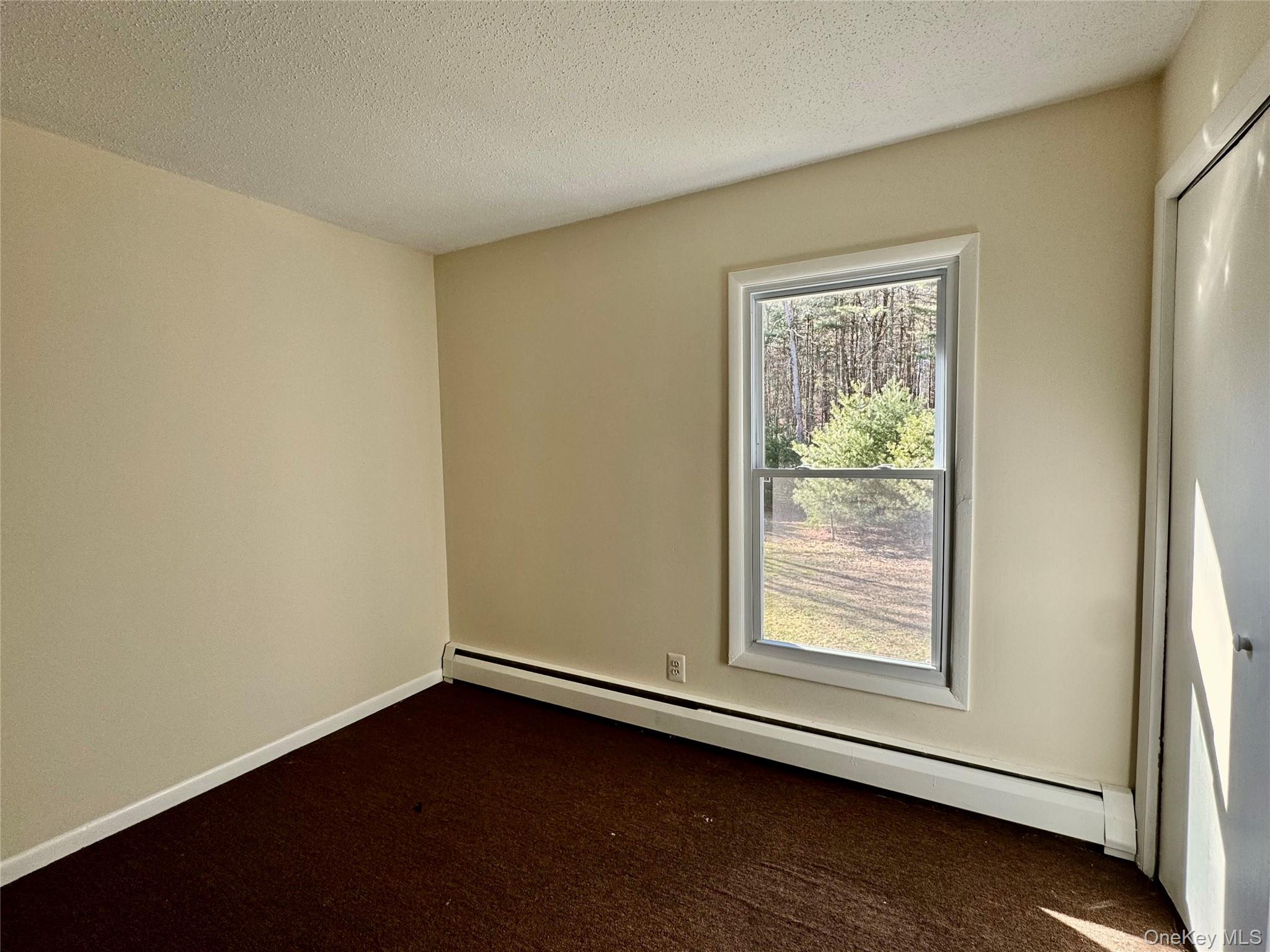 52 Boxbaum Road Sparrowbush, NY 12780 - Photo 19 of 23 an empty room with wooden floor and windows