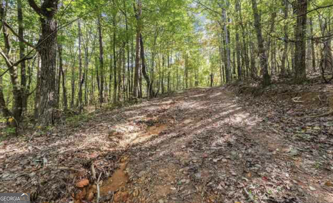Lot 24 Luther Palmer Road Murrayville, GA 30564 - Photo 4 of 12 a view of outdoor space and trees