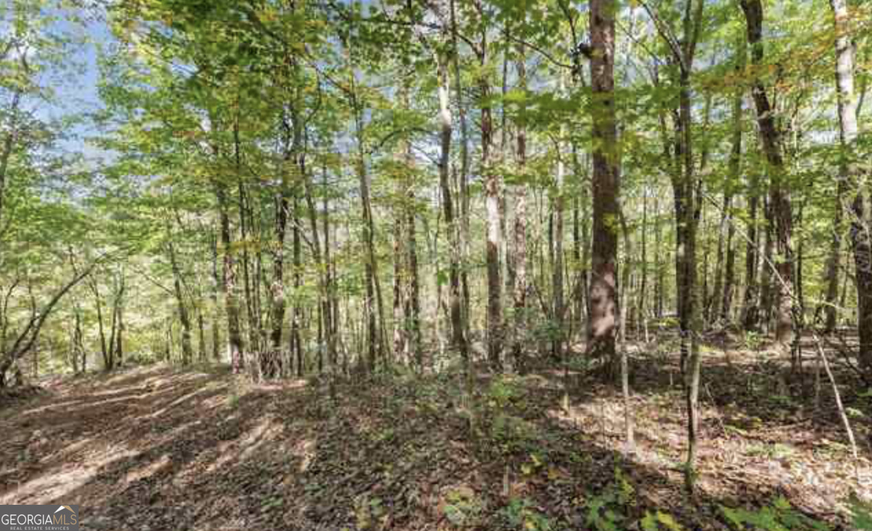 Lot 24 Luther Palmer Road Murrayville, GA 30564 - Photo 6 of 12