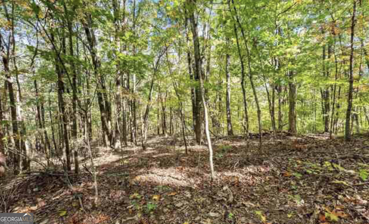 Lot 24 Luther Palmer Road Murrayville, GA 30564 - Photo 8 of 12 a view of a yard with plants and trees