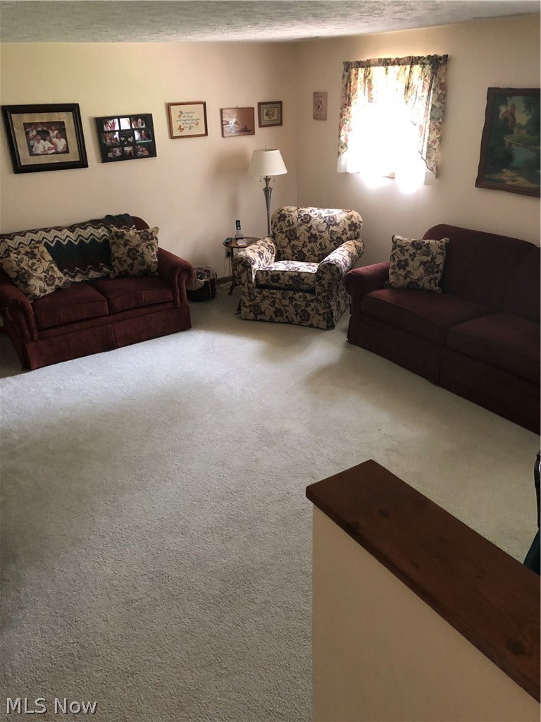 6711 Ballash Road Medina, OH 44256 - Photo 18 of 23 View of family room...