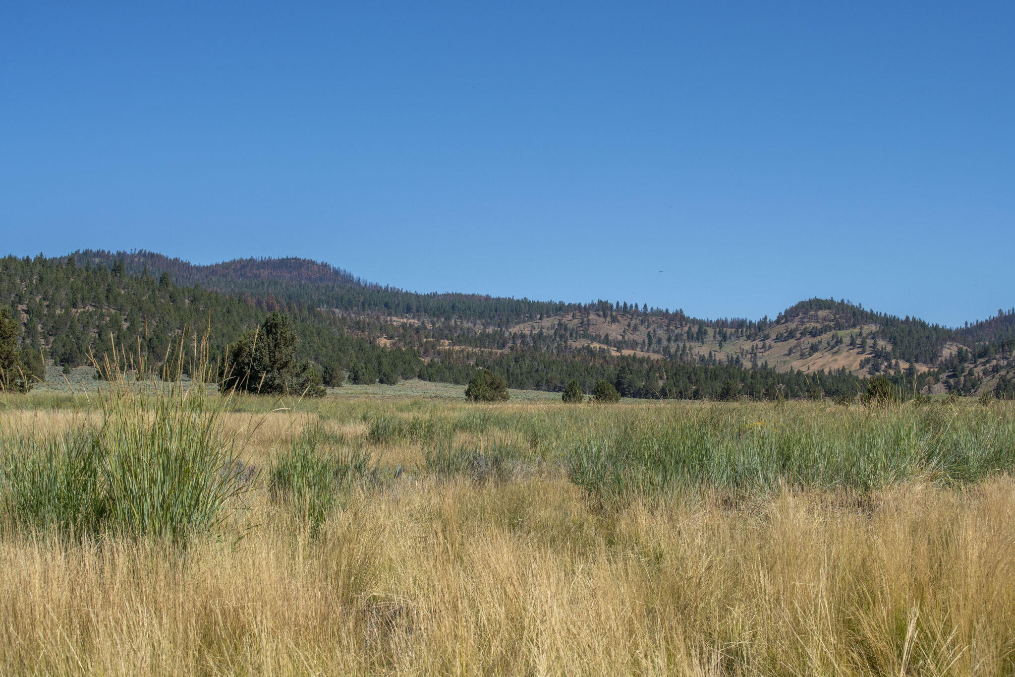 32500 Tackman Road Prineville, OR 97754 - Photo 99 of 112